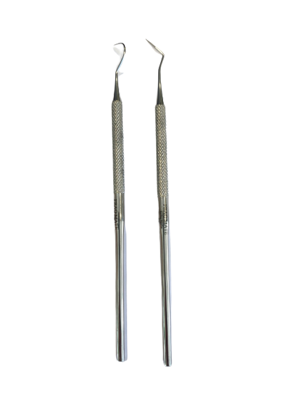 Vermetid Snail Spike